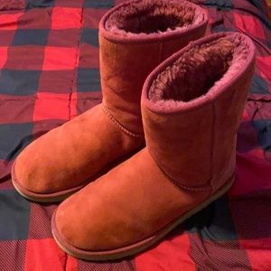 Burgundy UGG Short classic